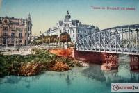 Imagine atasata: 1917_Temesvar_Hunyadi_uti_reszlet_1917.preview.jpg